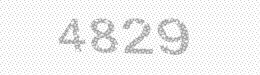 Visual security code — type the characters shown in the image
